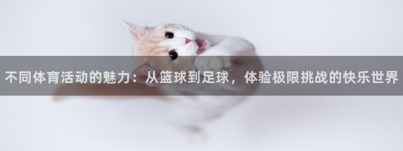 三亿体育网