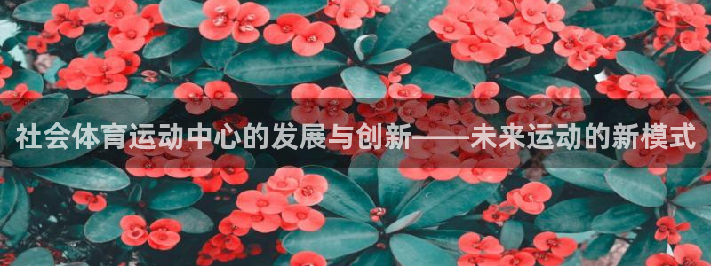 三亿体育