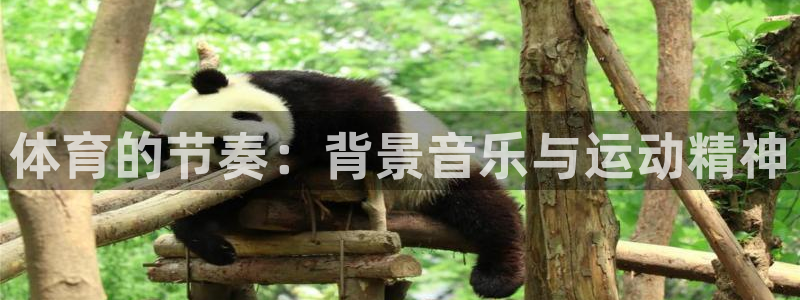 三亿体育网页版