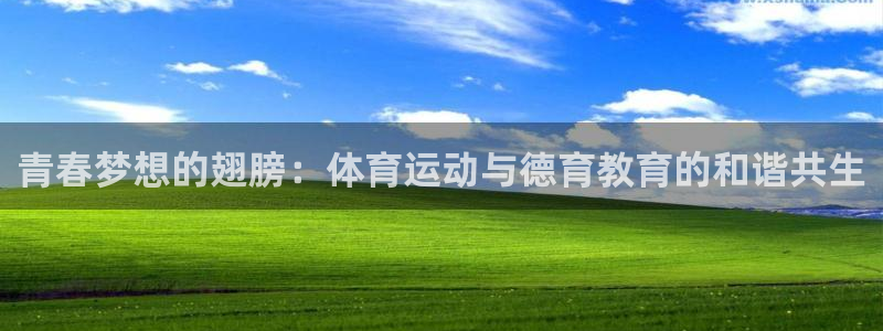 三亿体育登录