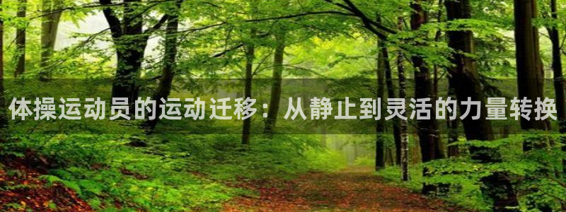 三亿体育
