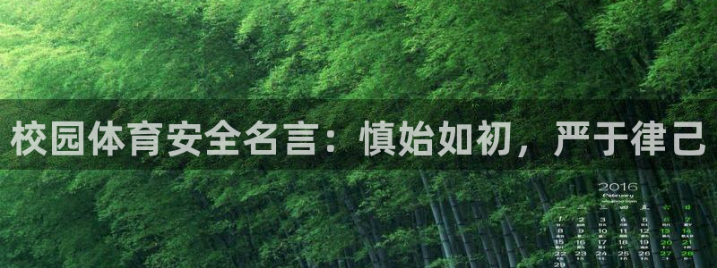 三亿体育网页版
