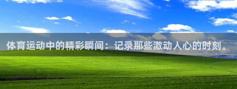 三亿体育网页版