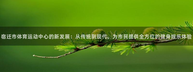三亿体育网页版