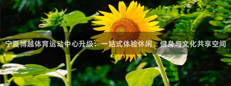 三亿体育登录