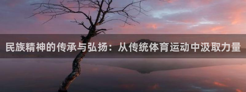 三亿体育网页版