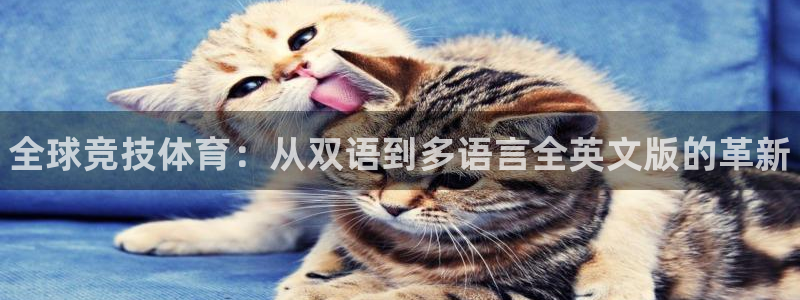 三亿体育
