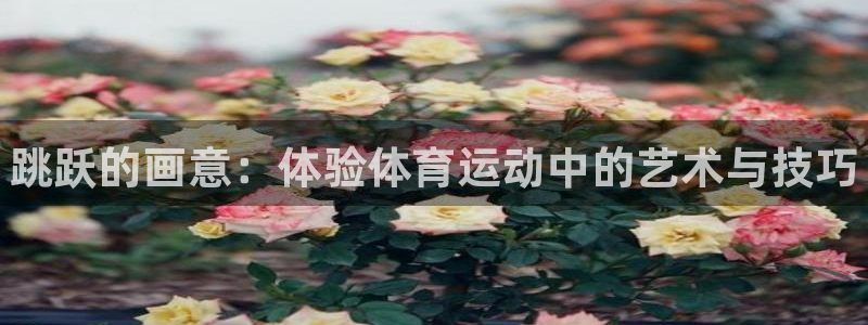 三亿体育网页版