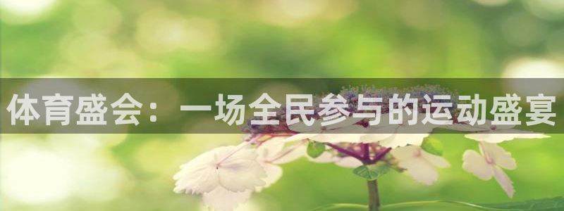 三亿体育网