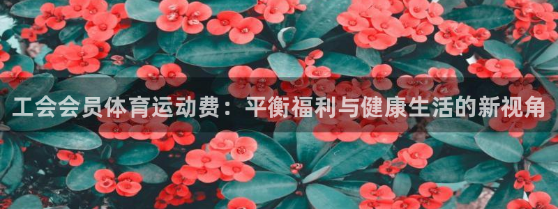 三亿体育网页版