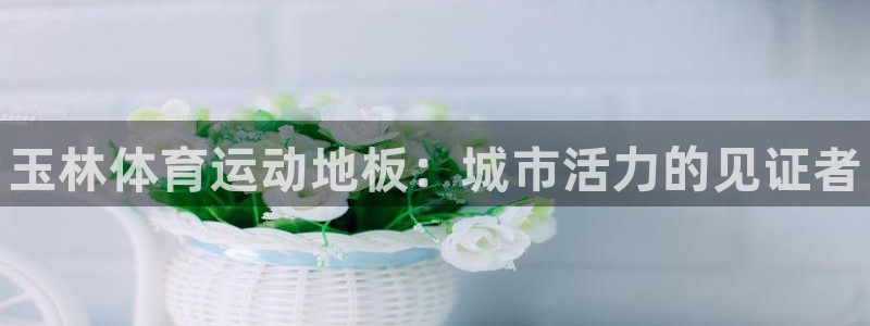 三亿体育网页版